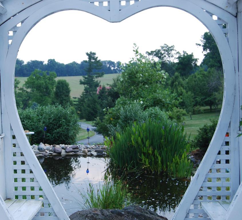 Berry Patch Bnb Lebanon Bilik gambar